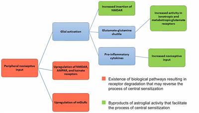 An Integrative Neuroscience Framework for the Treatment of Chronic Pain: From Cellular Alterations to Behavior